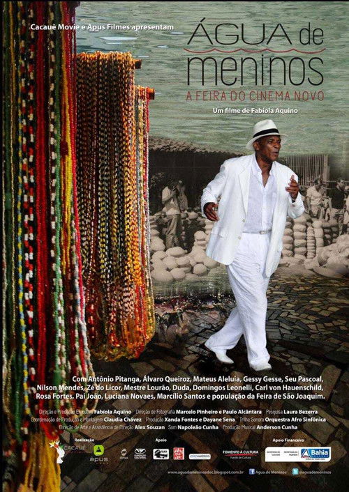 Água de Meninos – A Feira do Cinema Novo (2012) poster