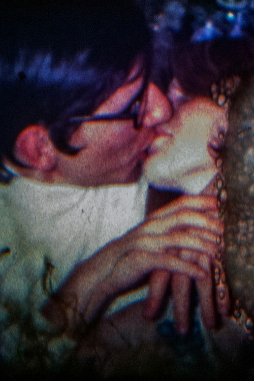 Breviario di Decomposizione (2006) poster