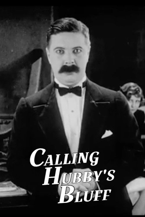 Calling Hubby's Bluff (1929) poster