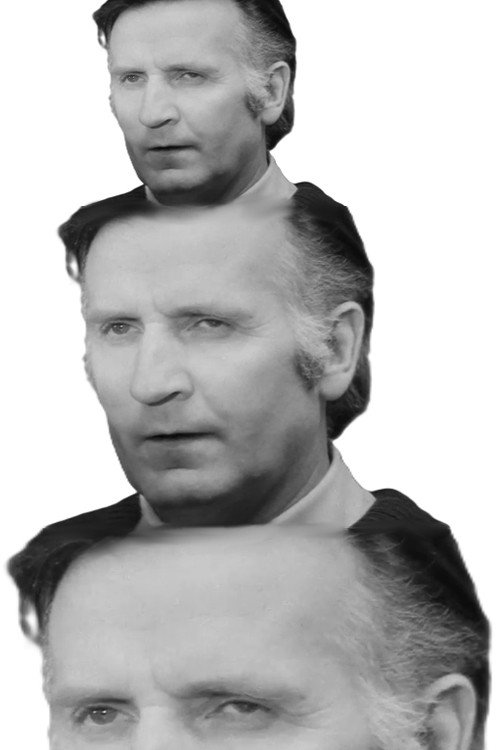 Puikas, zirgos! (1979) poster