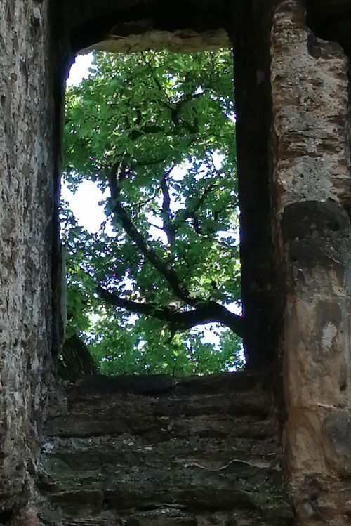 The Ruins of Seyssuel's Castle (2025) poster