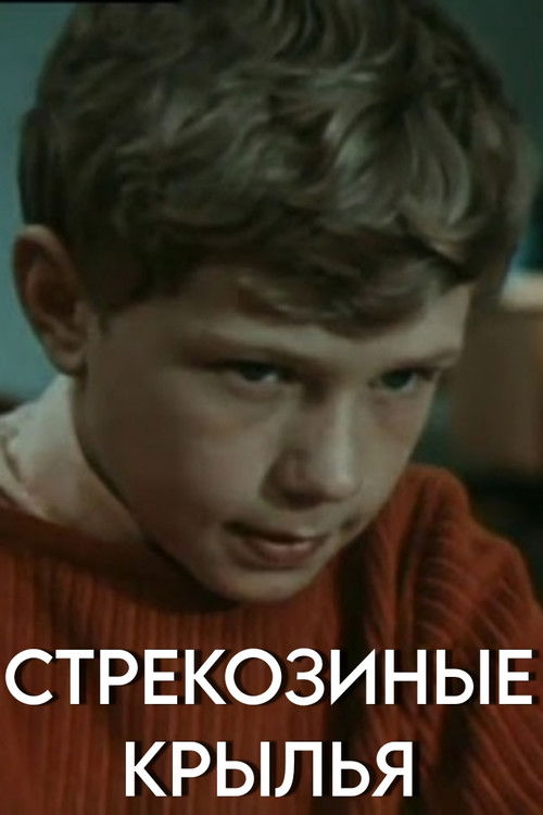 Dragonfly Wings (1968) poster