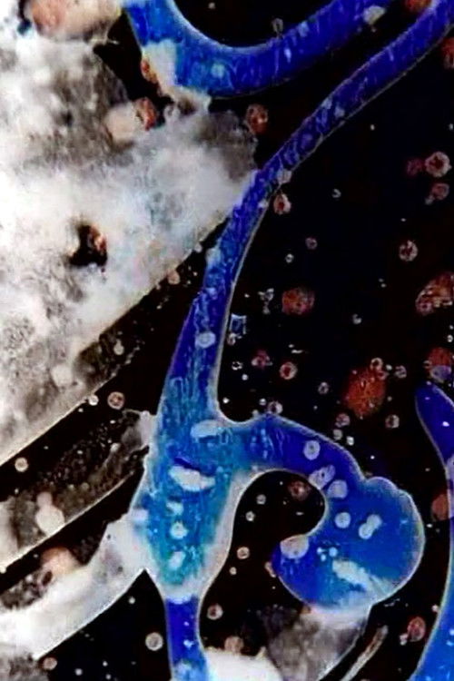 On the Road to Kandahar (2003) poster