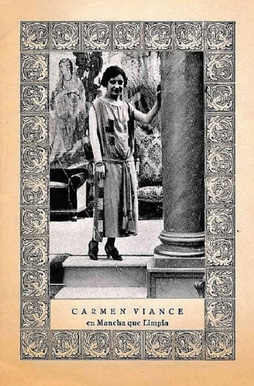 Stain that Cleans (1924) poster