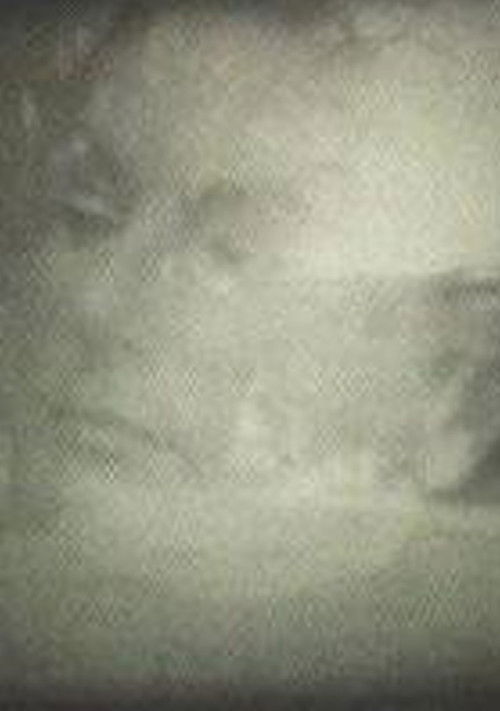 Yo veo conejos (1967) poster