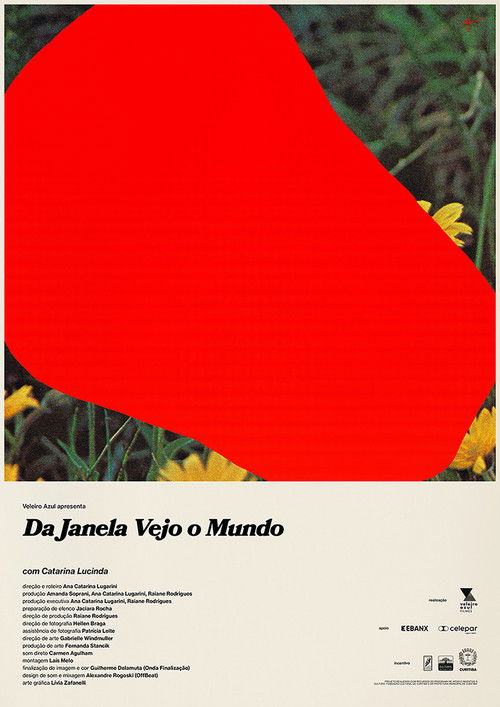 Da Janela Vejo o Mundo (2021) poster