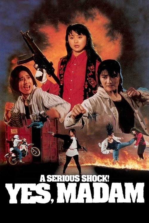 İntikam (1993) poster