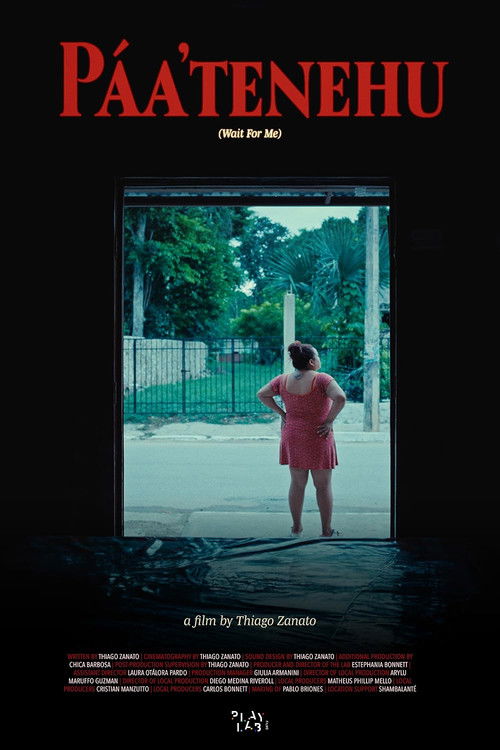 Páa'tenehu (Wait For Me) (2026) poster