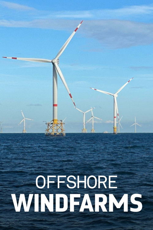 Windparks im Meer - Chance oder Risiko für die Natur? (2024) poster