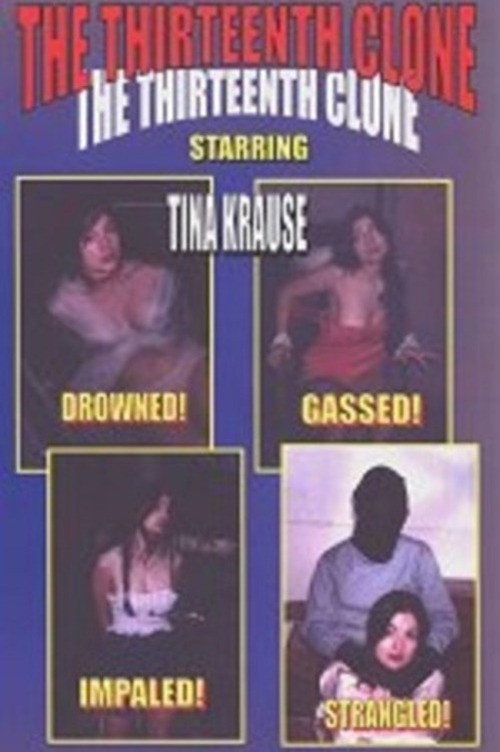 The Thirteenth Clone (2003) poster