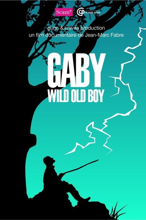 Gaby Wild Old Boy (2024) poster