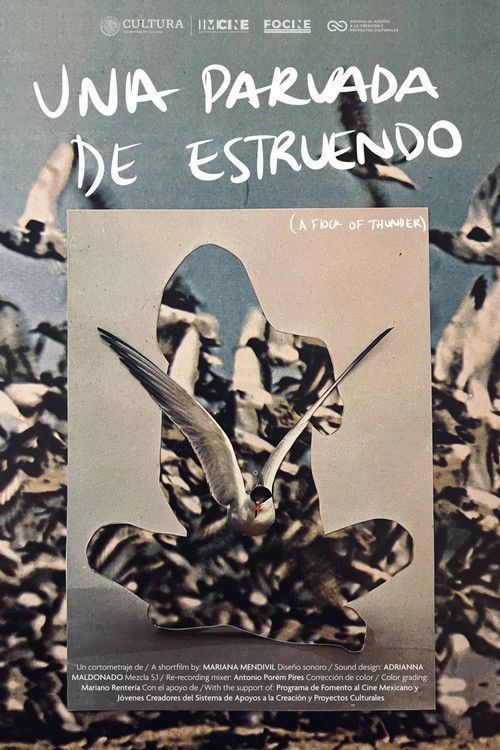 Una parvada de estruendo (2025) poster