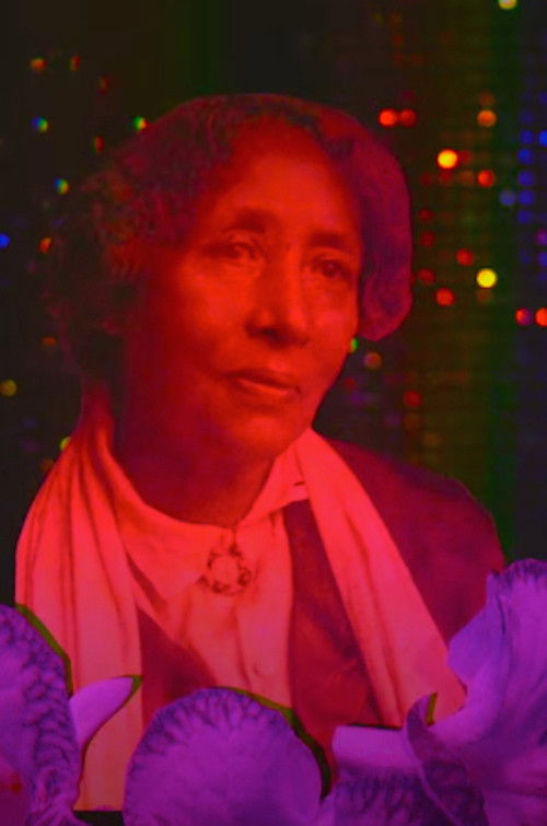 More Dangerous Than a Thousand Rioters (2016) poster