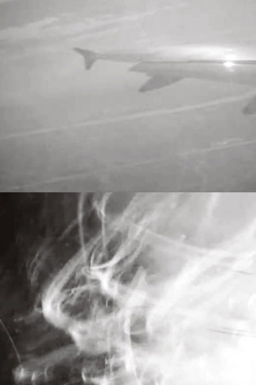 Sumie 2.1 (2018) poster