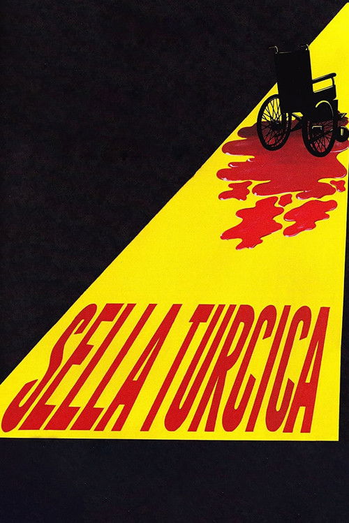 Sella Turcica (2010) poster