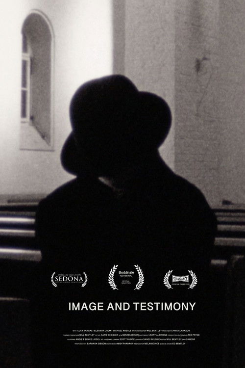 Image and Testimony (2016) poster