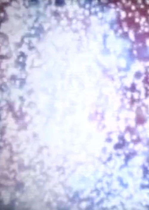 The Story of Sodom and Gomorrah (2007) poster