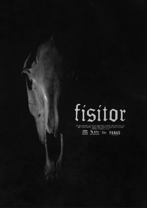 Fisitor (2024) poster