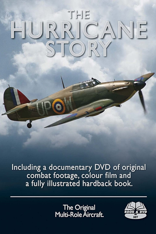 The Hurricane Story (2009) poster
