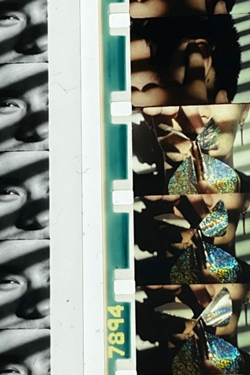 False Expectations (2023) poster