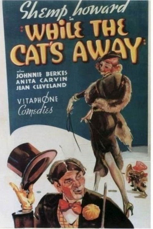 While the Cat's Away (1936) poster