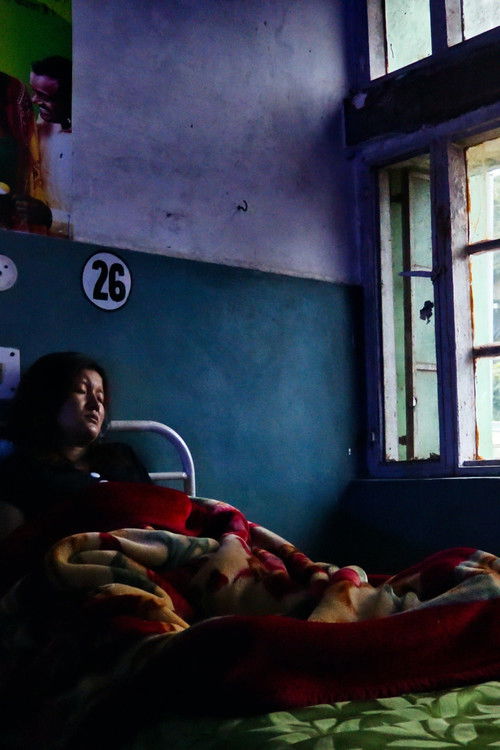 Drifting on the Roof of the World (2020) poster