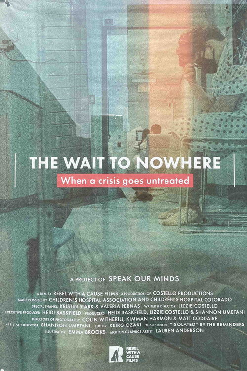 The Wait to Nowhere: When a Crisis Goes Untreated (2023) poster