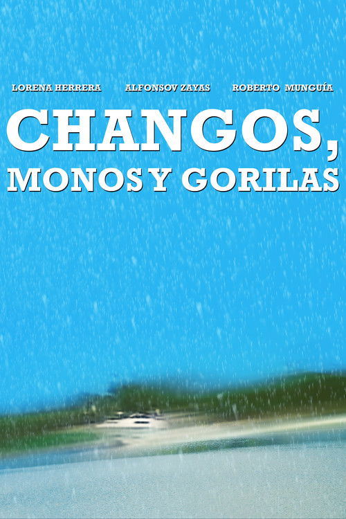 Changos, monos y gorilas (1996) poster