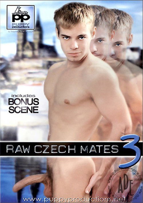 Raw Czech Mates 3 (2006) poster