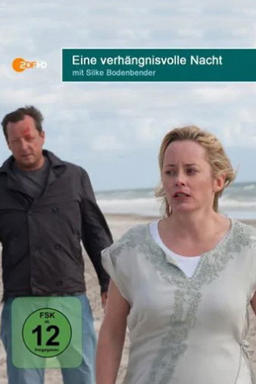 Eine verhängnisvolle Nacht (2013) poster