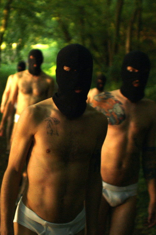 Le Parc: Les prolégomènes d'Haldernablou (2013) poster