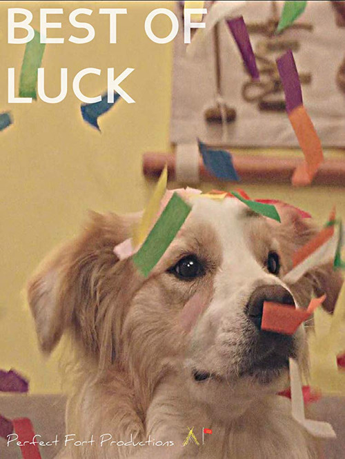 Best of Luck (2017) poster