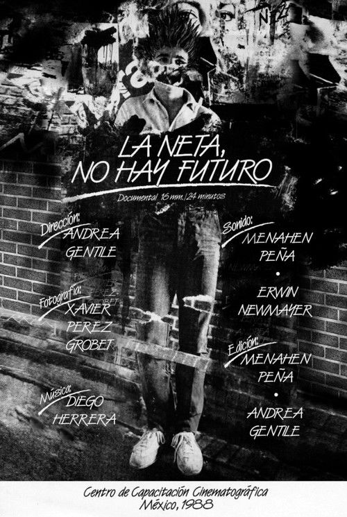 In Fact, There is not Future (1988) poster