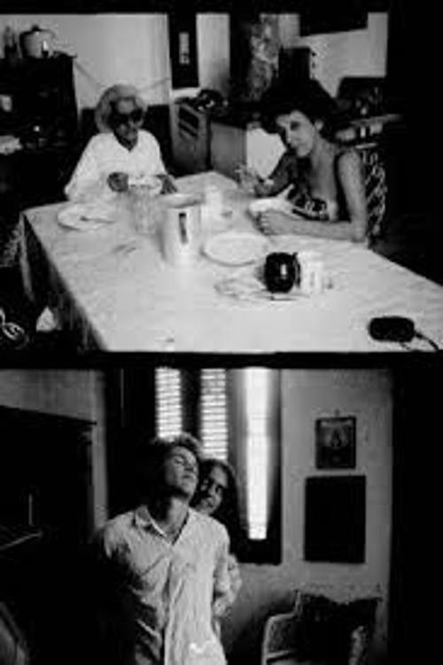 Evidentemente comieron chocolate suizo (1991) poster