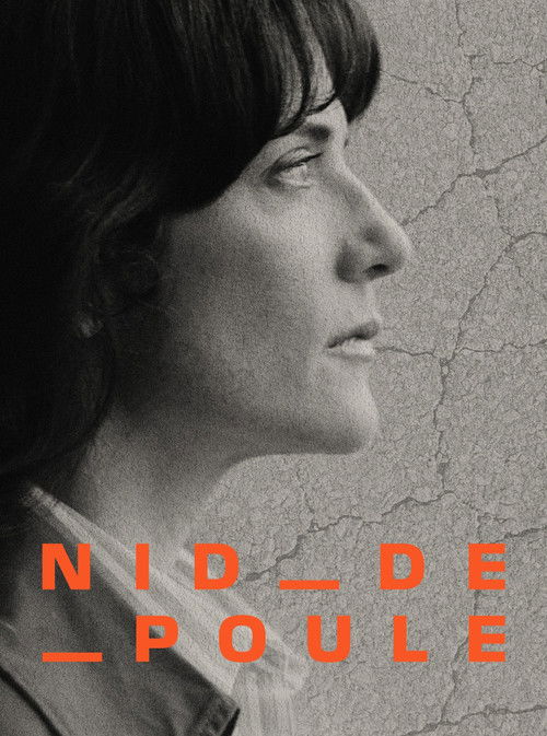 Nid-de-poule - Nos routes, un danger public? (2025) poster