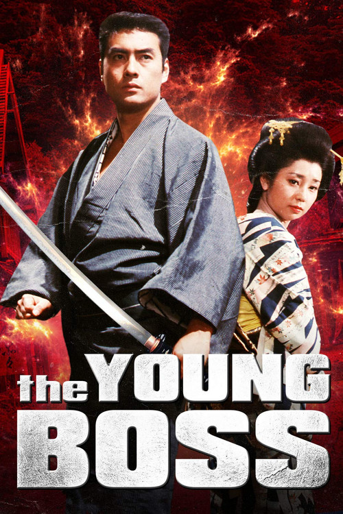 Birth of a Fighter (1967) poster