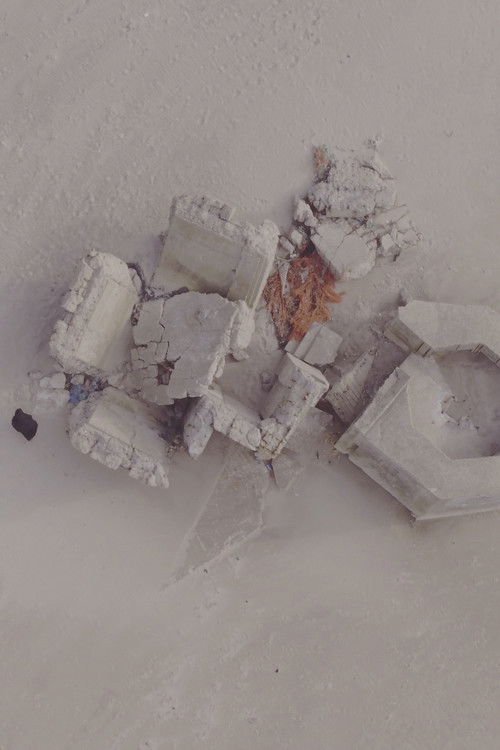 Estran (2018) poster