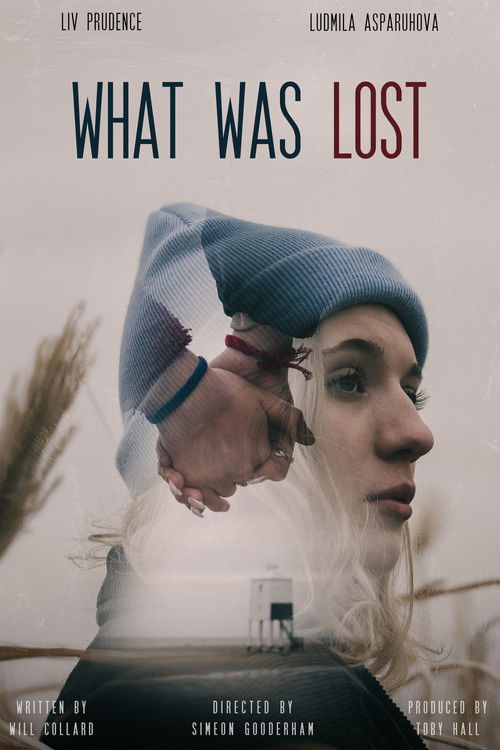 What Was Lost (2023) poster