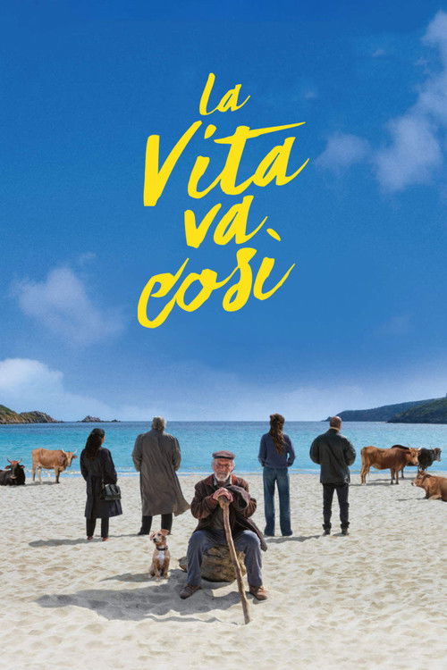 La vita va così (2025) poster