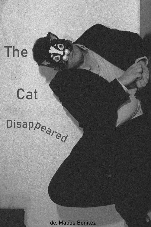 The Cat Disappeared (2024) poster