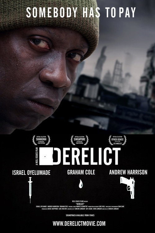 Derelict (2010) poster