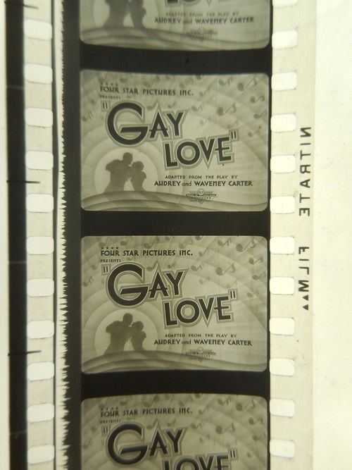Gay Love (1934) poster