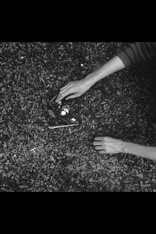 If Not, (2014) poster