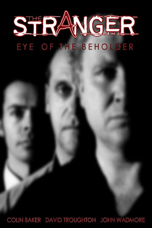 The Stranger: Eye of the Beholder (1995) poster