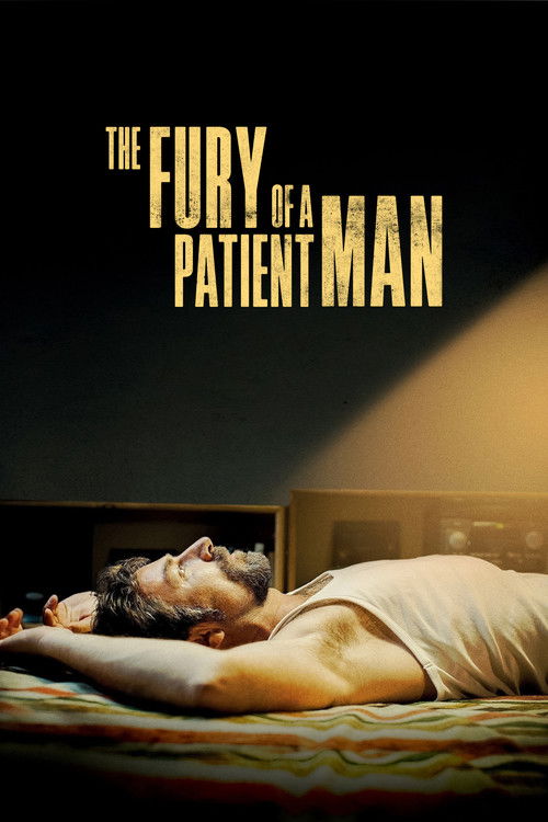 The Fury of a Patient Man (2016) poster