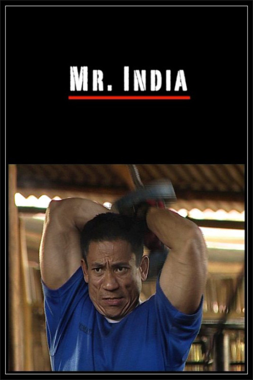 Mr. India (2009) poster