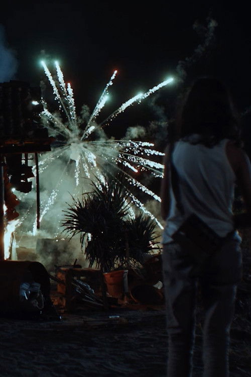 Happy New Year (2025) poster