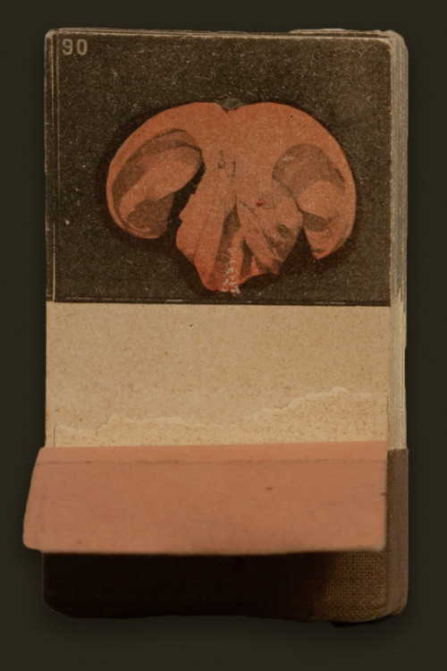 A Serpentine Dance (1896) poster