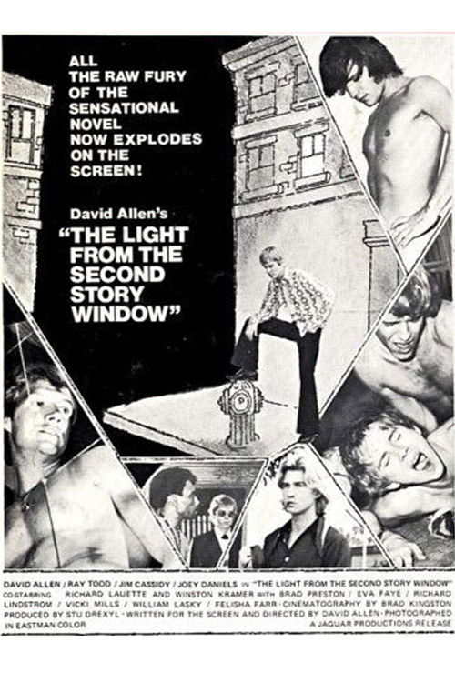 The Light from the Second Story Window (1973) poster