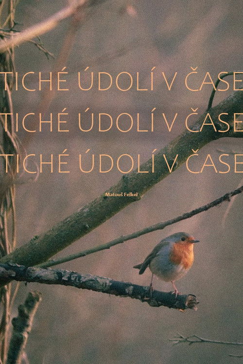 Tiché údolí v čase (2023) poster